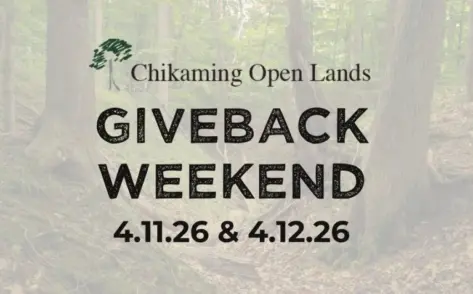 ferfwfww-768x477338691-1