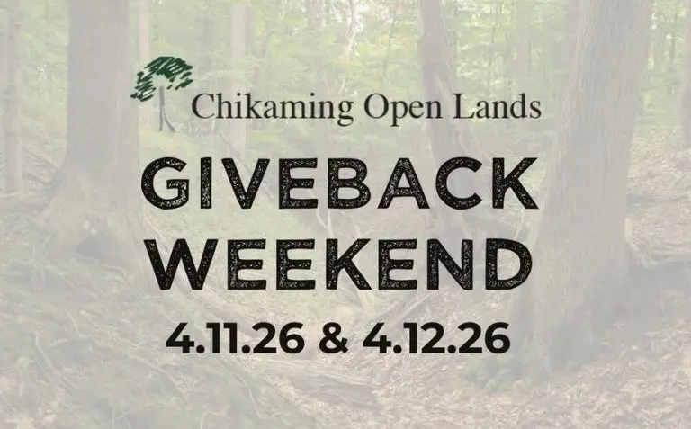 ferfwfww-768x477338691-1