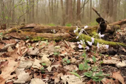 600238718_1186919973599565_1291917661379426747_n-768x512613573-1