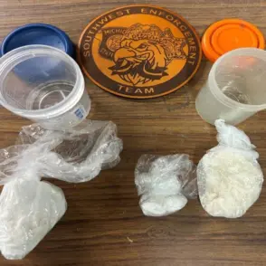 drug-bust-benton-harbor-768x76855859-1