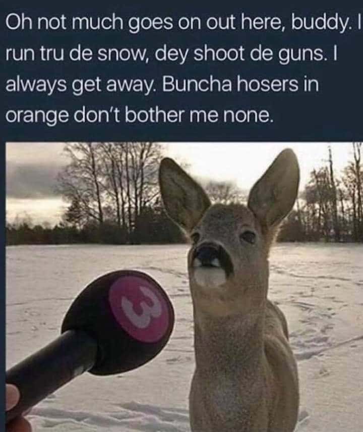 Deer Hunters Roundup