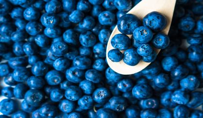 blueberries-safe