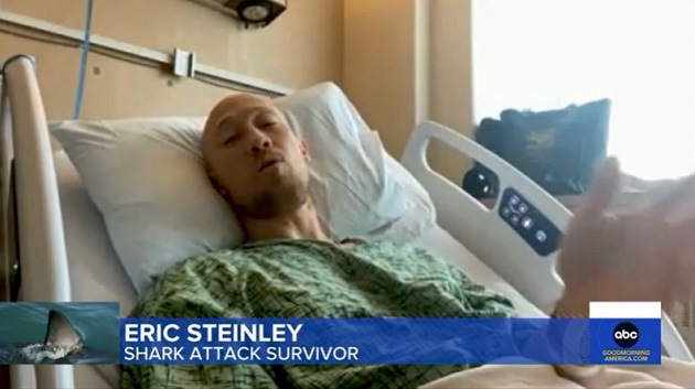 Surfer 'still in disbelief' after surviving great white shark attack - Vimarsana News