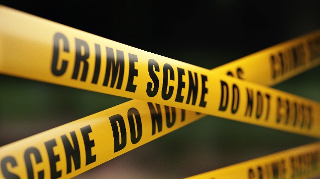 Twelve major US cities top annual homicide records - Vimarsana News