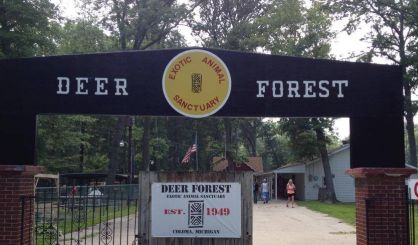 Former Deer Forest Property Sold - Vimarsana News