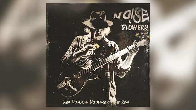 Listen to 2019 live version of Neil Young's 1995 tune "Throw Your Hatred Down" - Vimarsana News
