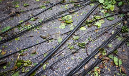 storm-damage-safe-4
