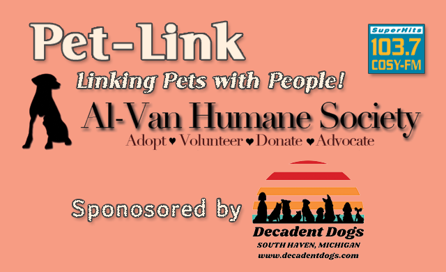 petlink-decadent-dogs-sponsor-flipper-wcsy