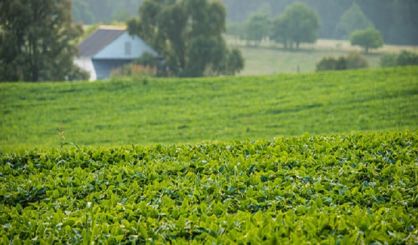 farm23e224-11