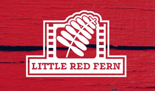 little-red-fern-500x295962139-1