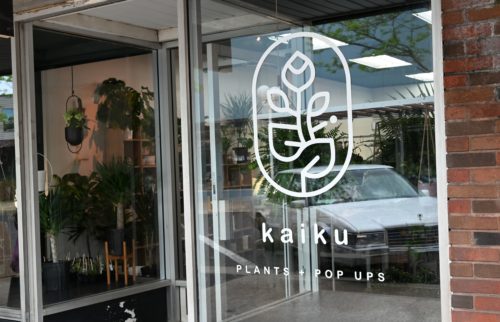 kaiku4-500x322279265-1