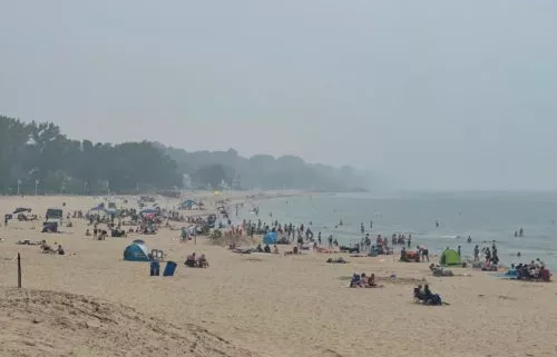 pollutants-500x321699246-1