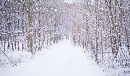 snow-safe-272536547
