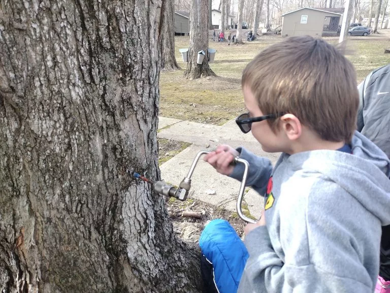 img_20240221_102512012-768x576621809-1