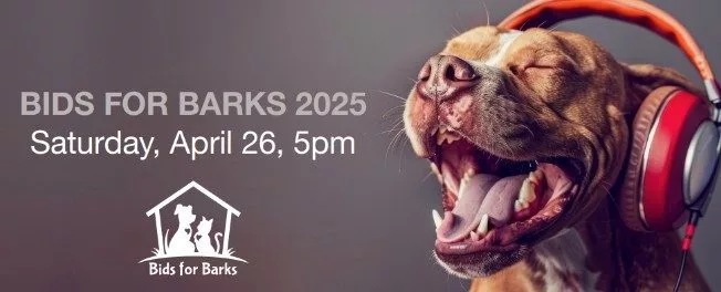 bids-for-barsk511223