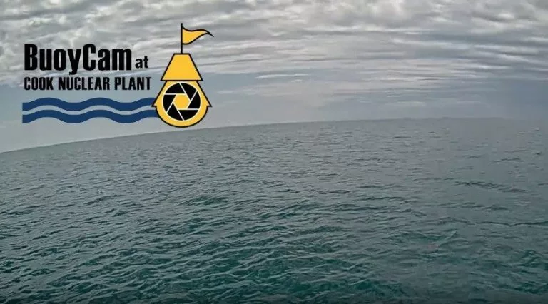 wrfwerfweewwf-768x426348400-1