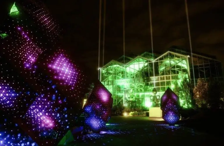 r3r3f3wt-768x5035263-1