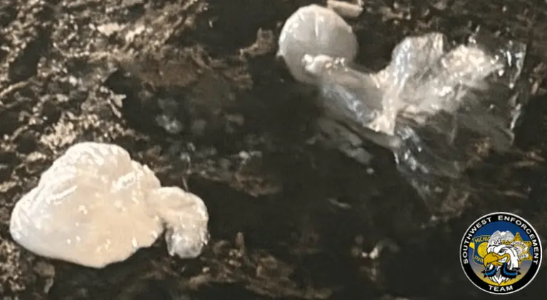 msp-drug-bust-768x422462584-1