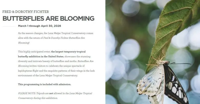 wefwqr2-768x402217873-1