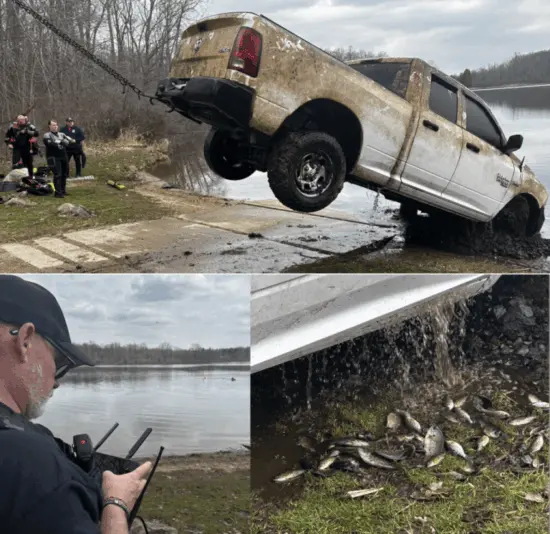 fish-truck-768x745693198-1