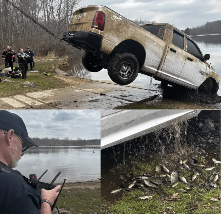 fish-truck-768x745693198-1