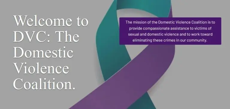 domestic-violence-coalition-768x365139049-1