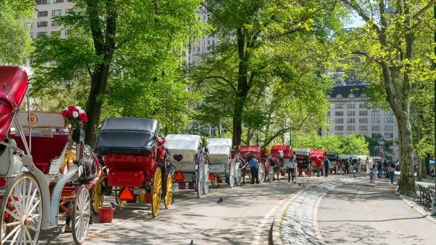 gettyrf_centralparkcarriagerides_061626541151