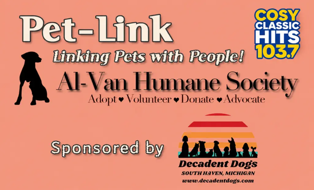 pet-link-2