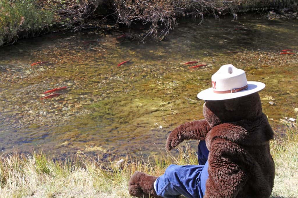 Strawberry Reservoir Fishing Hot Spots - Strawberry Reservoir Utah High Definition Fishing Map ... - Ripe for all kinds of anglers.