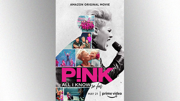 Pink sends a "HUGE GINORMOUS THANKS" to fans following her Grammy nomination - Vimarsana News