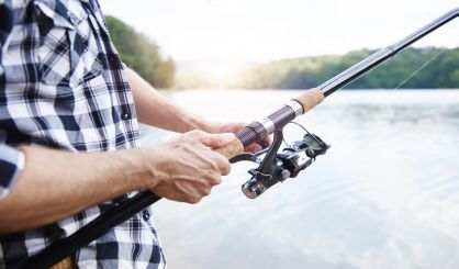 DNR Completes Latest Fish Stocking Season - Vimarsana News