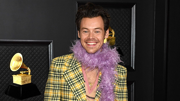 Fan asks Harry Styles to be her prom date — and he agrees - Vimarsana News