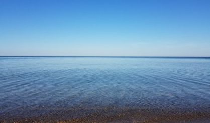 DNR Monitoring Die Off Of Alewife In Lake Michigan - Vimarsana News