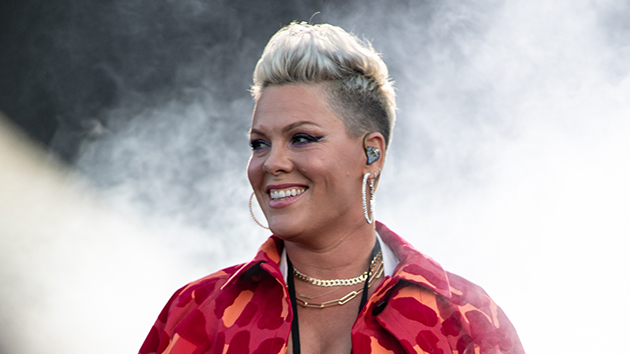 Pink to be honored at SONA Warrior Awards - Vimarsana News