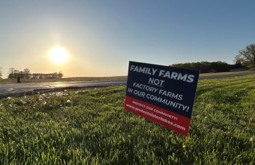 Commercial poultry farm approved in Sister Lakes; residents flock to township hall - Vimarsana News
