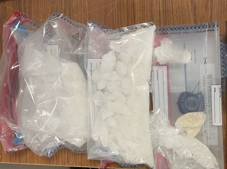 One arrested in meth bust spanning two counties - Vimarsana News
