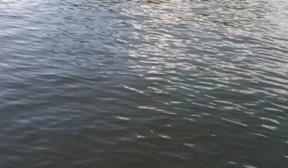 water2478922