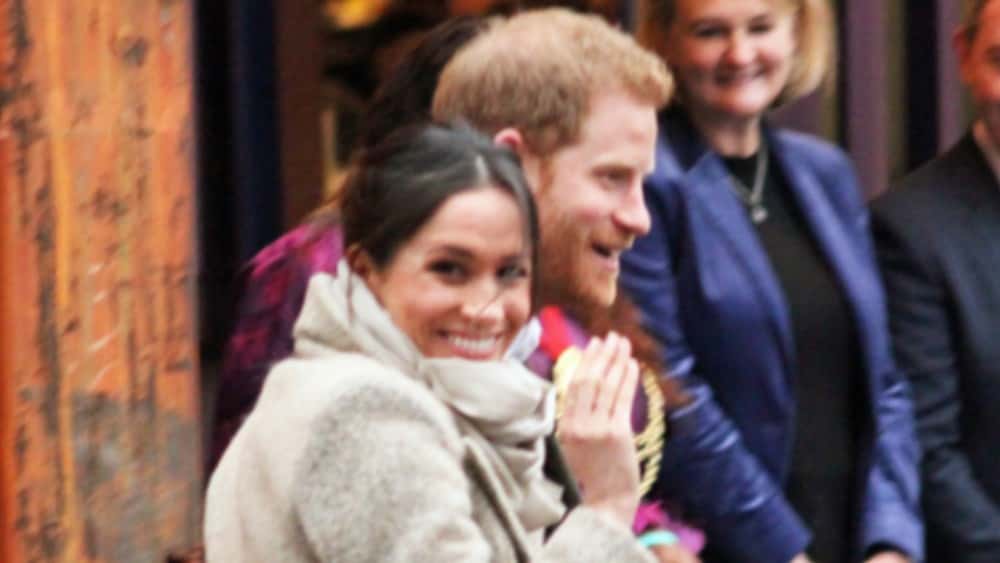 tmp15ba9e4a-0383-40b2-8035-067cbcd8ad6c-jpg