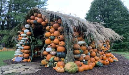 fernwood-pumpkin-house