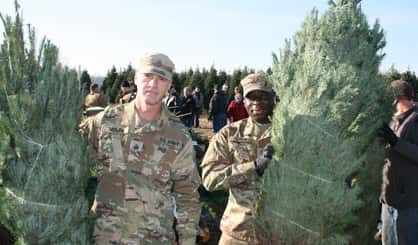trees-for-troops