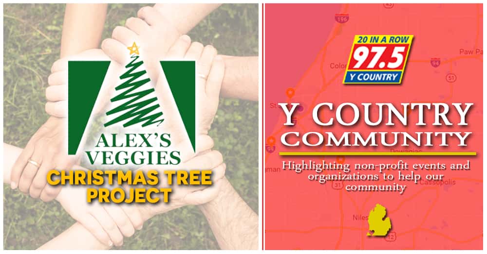 y-country-community-121219-christmas-tree-project
