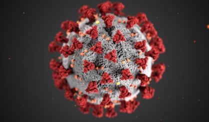 coronavirus-25