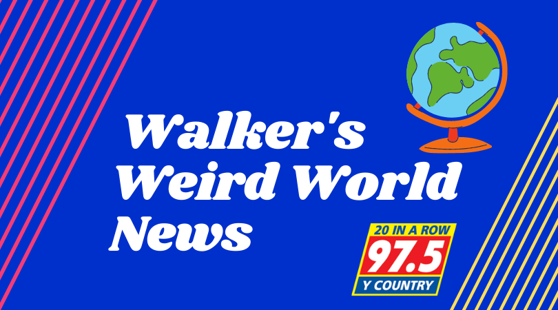 jonny-walkers-weird-world-news