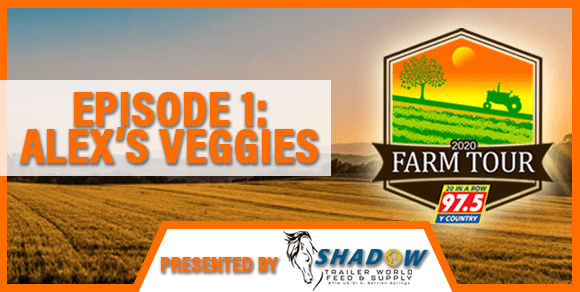2020-episode-1-alexs-veggies-facebook-share