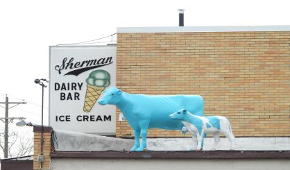 210406bluemoo-and-babyblue0003