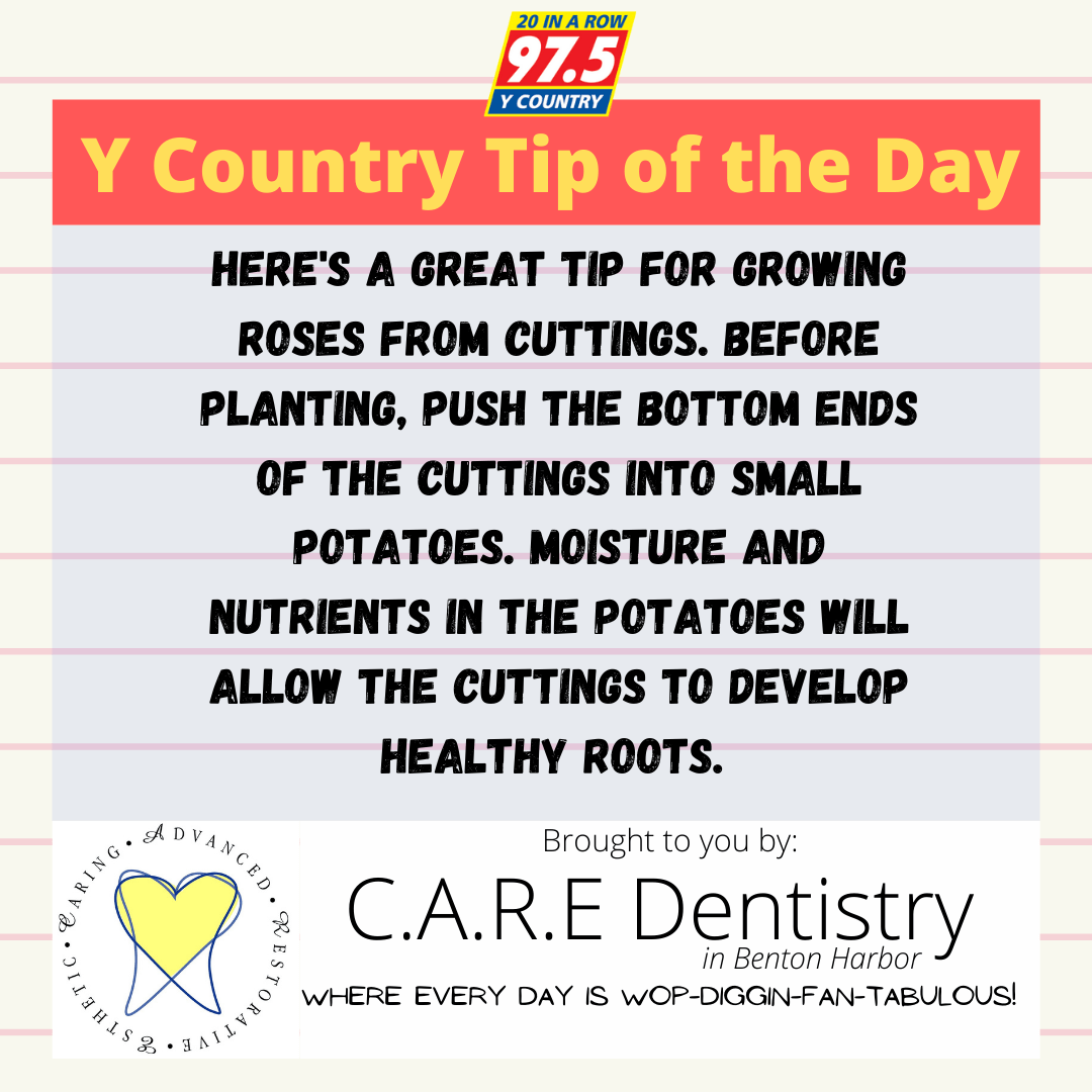 tip-of-the-day-2