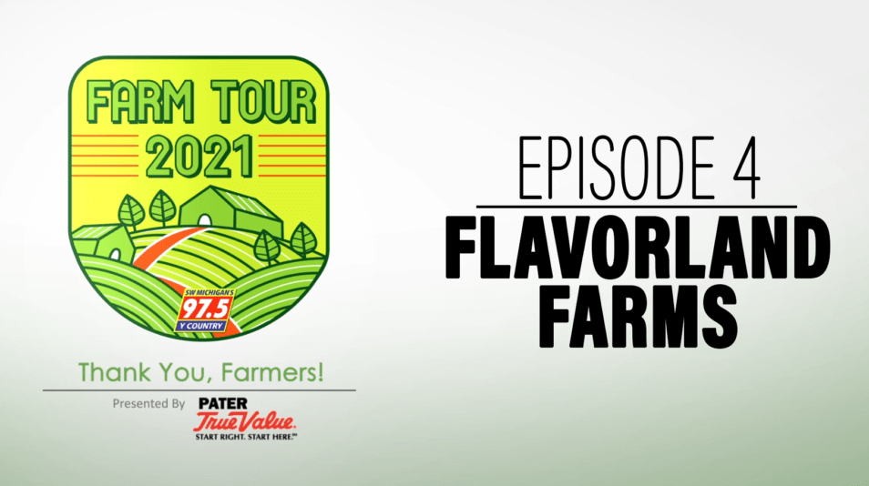 episode-4-flavorland-farms
