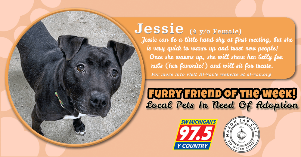 meet-jessie-furry-friend-of-the-week-031122