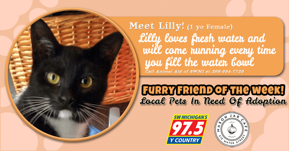 meet-lilly-furry-friend-of-the-week-052722
