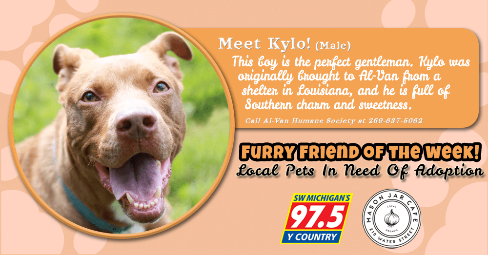 meet-kylo-furry-friend-of-the-week-060322